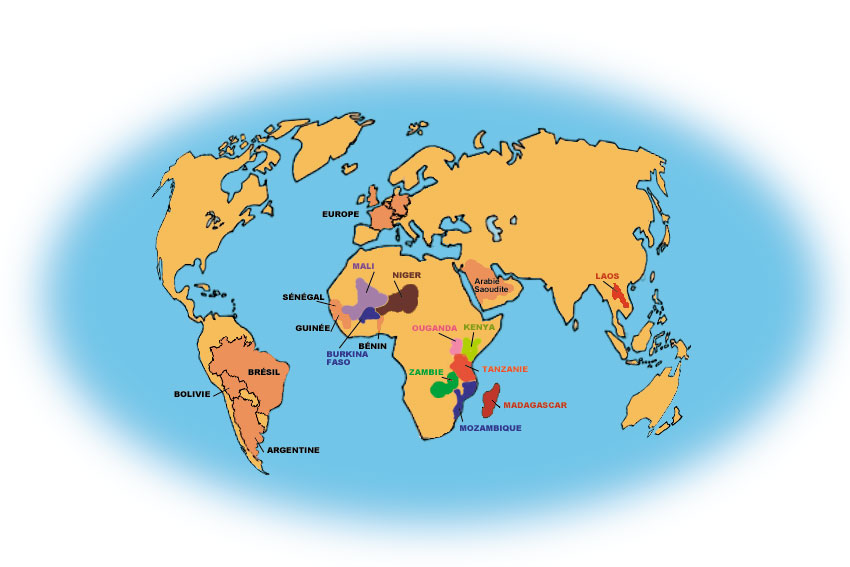 Carte des pays où Chepe intervient